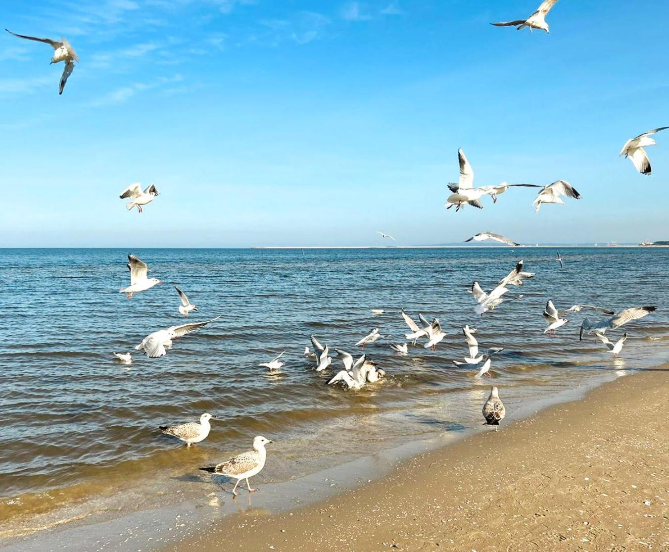 Visit Baltic - Rezydencja Sienkiewicza Rs1.07 Swinoujscie Ngoại thất bức ảnh